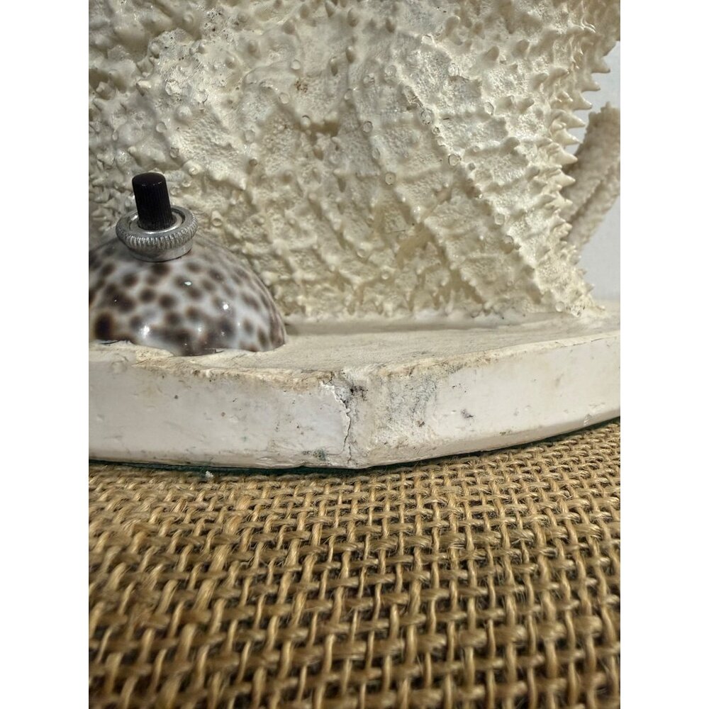 Vintage Shell Starfish Coral Crucifix light Grotto Of Redemption West Bend Iowa - Picture 9 of 16